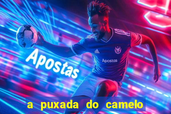 a puxada do camelo no jogo do bicho